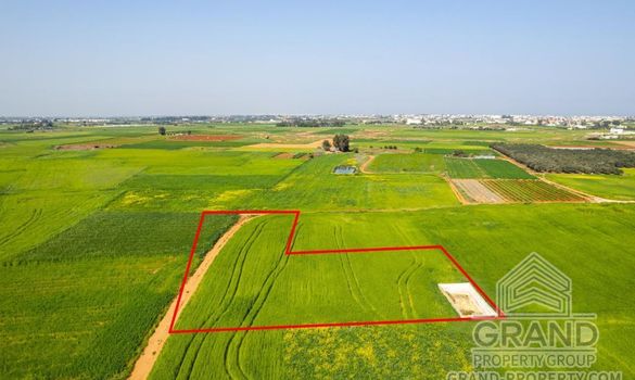 Field - G7644 - photo-2