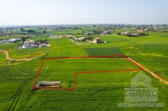 Field - G7644 - photo-3