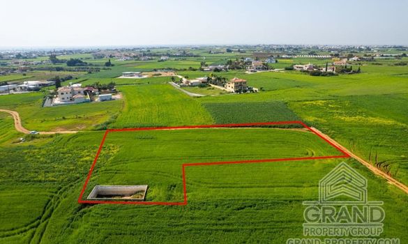 Field - G7644 - photo-3