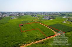 Field - G7644 - photo-4