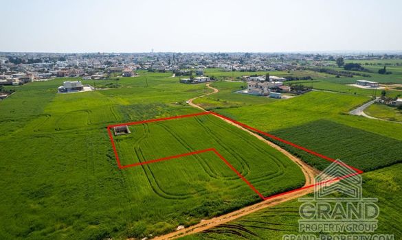 Field - G7644 - photo-4