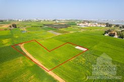 Field - G7644 - photo-1