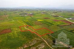 Field - G8847 - photo-2