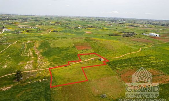 Field - G8847 - photo-3