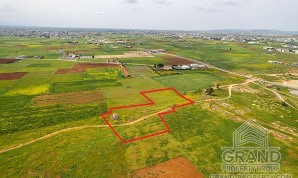 Field - G8847 - photo-4