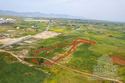 Field - G8848 - photo-3