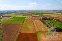 Field - G7629 - photo-2