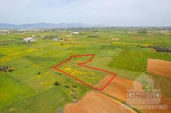 Field - G8850 - photo-2