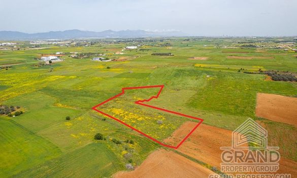 Field - G8850 - photo-2