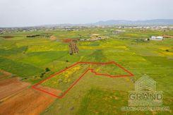 Field - G8850 - photo-3