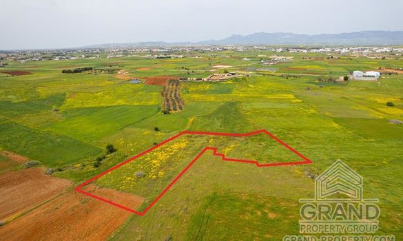 Field - G8850 - photo-3
