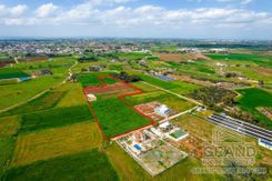 Field - G8079 - photo-2