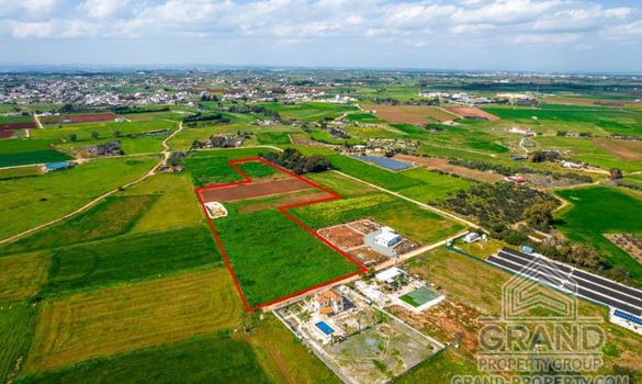 Field - G8079 - photo-2