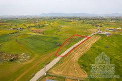 Field - G8851 - photo-3