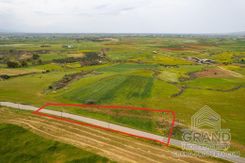 Field - G8851 - photo-1
