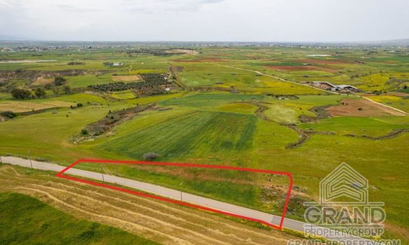 Field - G8851 - photo-1