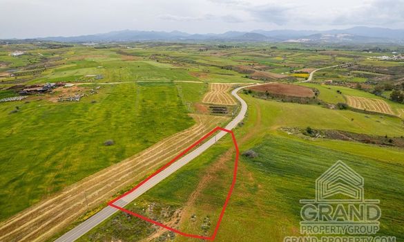 Field - G8851 - photo-4