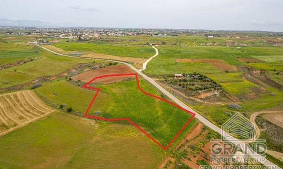 Field - G8852 - photo-4