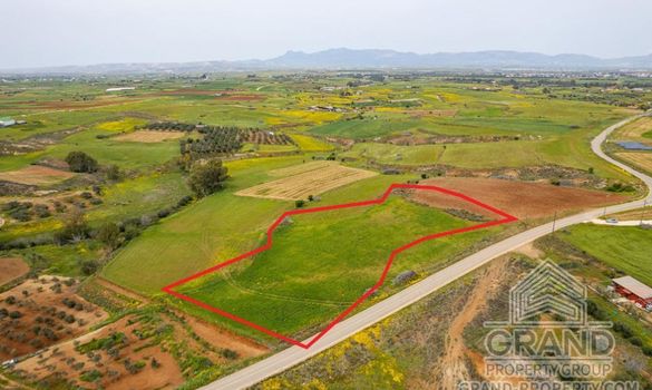 Field - G8852 - photo-1