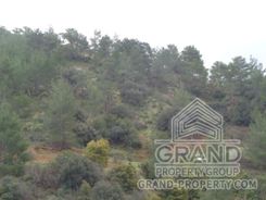Field - G5385 - photo-2