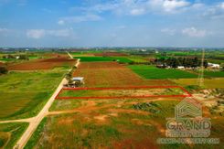 Field - G7661 - photo-2