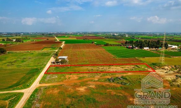 Field - G7661 - photo-2