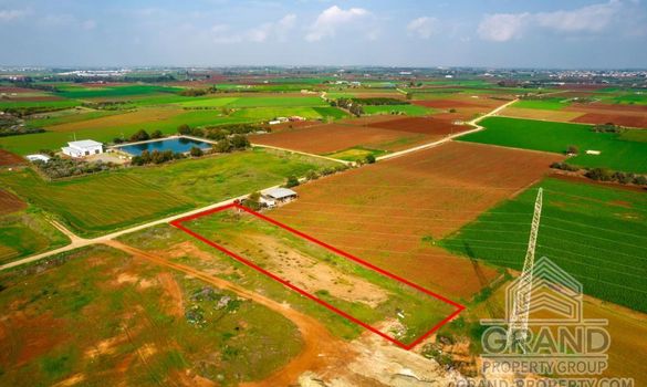 Field - G7661 - photo-3