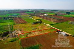 Field - G7661 - photo-5