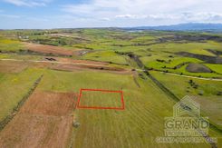Field - G8273 - photo-3