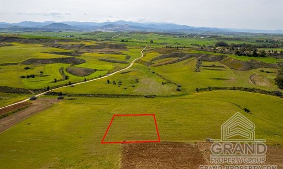 Field - G8273 - photo-5