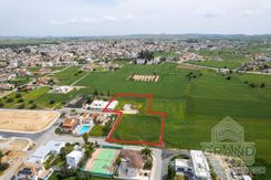 Field - G8222 - photo-3