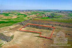 Field - G8685 - photo-1