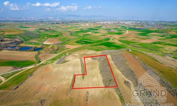 Field - G8685 - photo-2