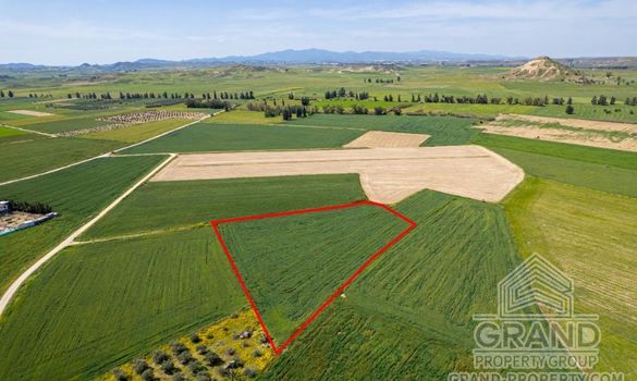 Field - G7305 - photo-2
