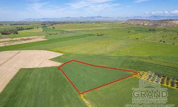Field - G7305 - photo-6