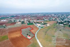 Field - G6522 - photo-5