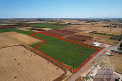 Field - G7044 - photo-3