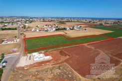 Field - G7044 - photo-4