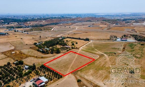 Field - G6529 - photo-2
