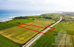 Field - G6068 - photo-2