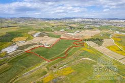 Field - G8216 - photo-5