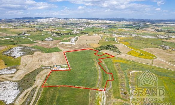 Field - G8216 - photo-6