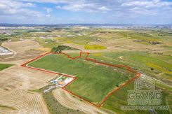 Field - G8216 - photo-1