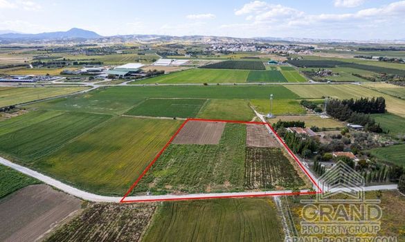 Field - G8218 - photo-1