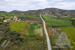 Field - G8217 - photo-2