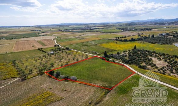 Field - G8221 - photo-2
