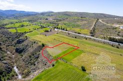 Field - G8267 - photo-2