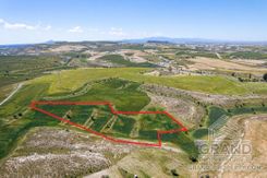 Field - G7310 - photo-2