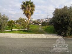 Field - G8880 - photo-1