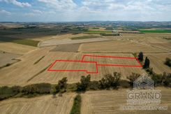 Field - G8356 - photo-3